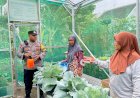 Dampingi-KWT-Bhabinkamtibmas-Polres-Probolinggo-Kota-Ajak-Warga-Wujudkan-Ketahanan-Pangan