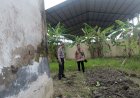 Maksimalkan-Pengelolahan-Pekarangan-Bergizi-SDN-I-Kedung-Sugo
