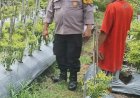Dukung-Ketahanan-Pangan,-Polsek-Sidoarjo-Kota-Turun-ke-Warga