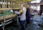 Bhabinkamtibmas-Desa-Kemantren-Cek-Lahan-P2B-untuk-Swasembada-Pangan-Mandiri