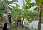 Bhabinkamtibmas-Siwalanpanji-Imbau-Petambak-Ikan-Perhatikan-Ketersediaan-Pakan-Alami-untuk-Sukseskan-Ketahanan-Pangan-Nasional-Saat-Panen