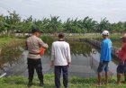 Manfaatkan-Fasum-untuk-Budidaya-Lele,-Warga-Keboharan-Dapat-Apresiasi-dari-Bhabinkamtibmas