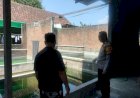 Polsek-Porong-Dukung-P2B-di-Peternakan-Bebek