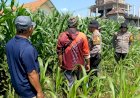 Polsek-Balongbendo-Perkuat-Swasembada-Pangan-Nasional-Bersama-Petani