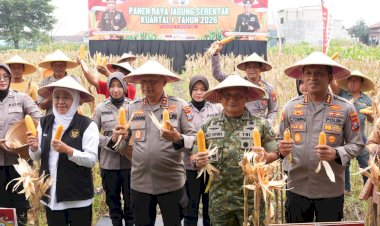Polda-Jatim-Gelar-Panen-Raya-Jagung-Kuartal-I-2026-di-Sidoarjo