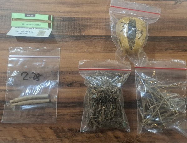 Polrestabes Surabaya Ungkap Narkoba Amankan Tersangka Pengedar Ganja