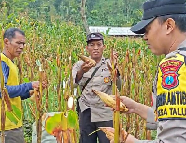Polres Ponorogo Sahabat Petani,  Warga Wujudkan Swasembada Pangan