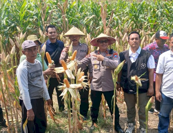 Polisi, Perangkat Desa dan Petani Kompak Sukseskan Ketahanan Pangan di Balongbendo