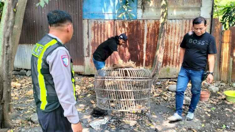 Polsek-Taman-Respon-Cepat-Aduan-Warga-Dugaan-Judi-Sabung-Ayam-di-Sambibulu