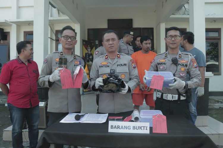 Polisi Berhasil Ungkap Jaringan Peredaran Ganja 2 Kilogram dan Tangkap Pelaku di Kota Malang