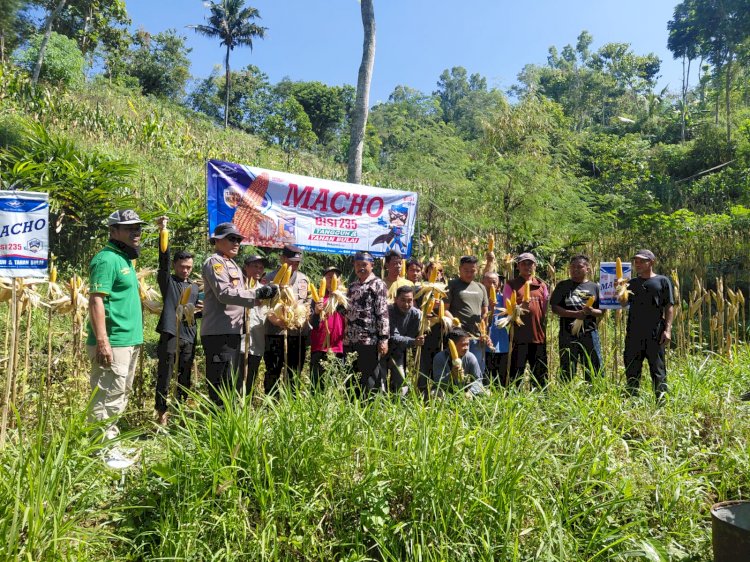 Polres Pacitan Genjot Produktivitas Jagung di Bandar, Dampingi Petani dan Evaluasi Kualitas Benih